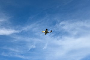 PXL_20250419_131421288.MP